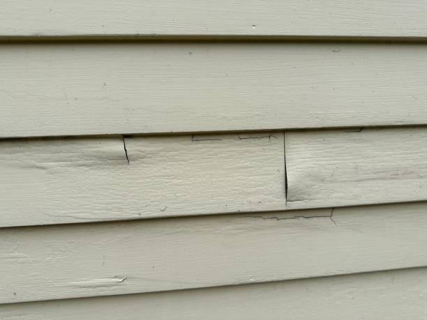 Best Engineered Wood Siding  in Ridgely, TN